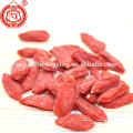 Ningxia séché goji baie séchée médecine traditionnelle brevetée avec fonction herb-médicinale